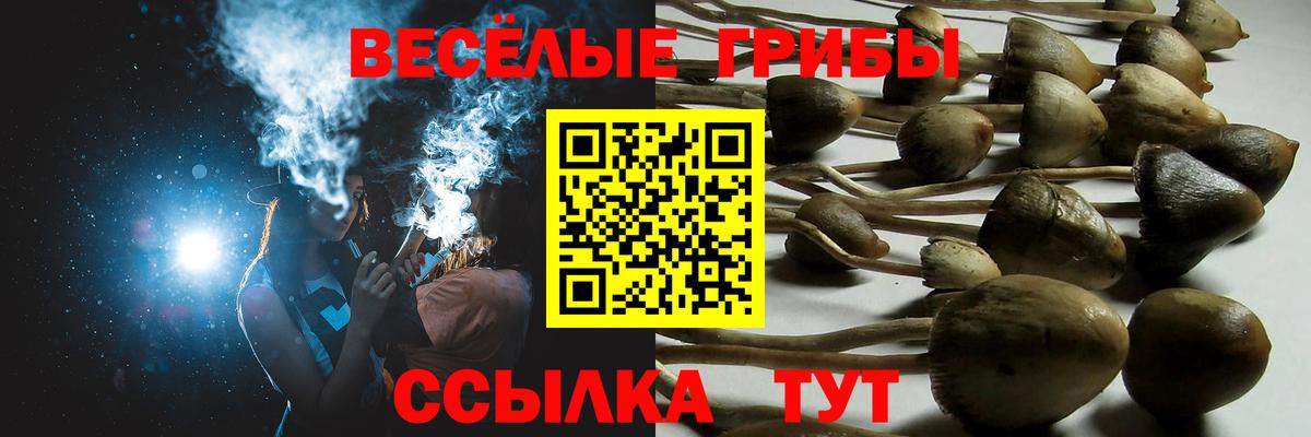 Галлюциногенные грибы мицелий Малоярославец